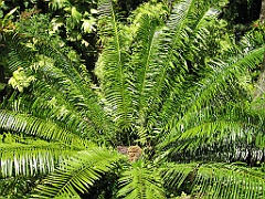 002 Jardin Botanique